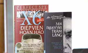 Thành phố Hồ Chí Minh