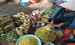 Thành phố Hồ Chí Minh