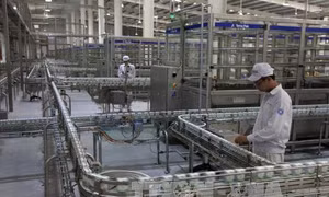 Bán vốn Vinamilk ngay trong năm nay
