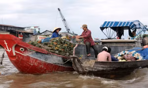 Chợ nổi Cái Răng - điểm đến thu hút du khách 
