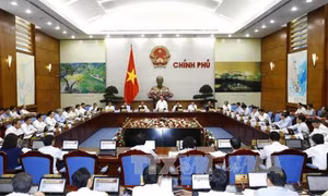 Thực hiện nghiêm Quy chế làm việc của Chính phủ 