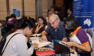 Nhiều thông tin về học bổng tại Ngày hội Giáo dục đại học quốc tế 