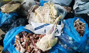Hà Tĩnh phát hiện thực phẩm bẩn, hôi thối trong kho đông lạnh Hợp tác xã
