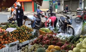 TP Hồ Chí Minh