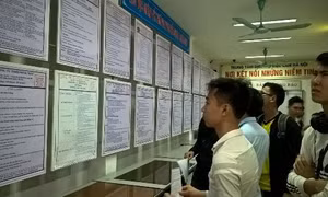 Định hướng tư vấn nghề nghiệp cho thanh niên