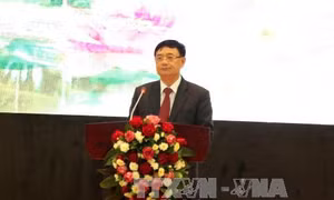 Phó Trưởng Ban Tổ chức Trung ương dự ngày hội Đại đoàn kết toàn dân tại TP. Bắc Ninh