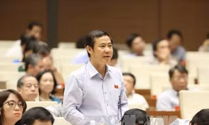 Cơ chế đặc thù cho TP Hồ Chí Minh: Cần mạnh dạn ‘phá rào’ khi trao cơ chế