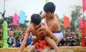 Đầu Xuân về Huế xem hội vật làng Sình
