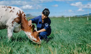 Tham gia hành trình Vinamilk Organic Farm Tour