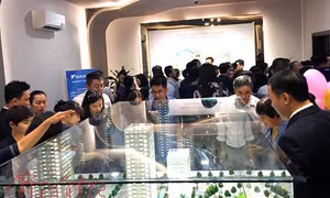 TP Hồ Chí Minh