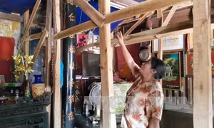 Nhà cổ Đường Lâm xuống cấp, đe dọa tính mạng người dân 
