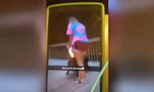 Đăng video đốt chó lên Snapchat, hai thiếu nữ bị điều tra vì ngược đãi động vật