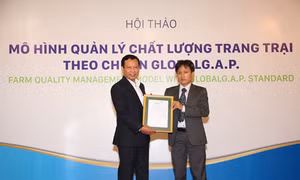 Anova Farm - trang trại nuôi heo đầu tiên đạt chuẩn GlobalGAP