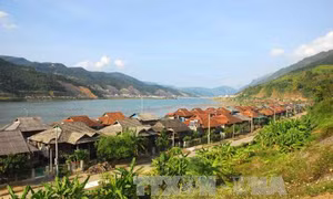 Đô thị Mường Lay giữ xanh lòng hồ thủy điện 