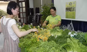 TP Hồ Chí Minh