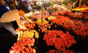 Cận kề ngày 8/3, dạo chợ Quảng An ngắm hoa muôn sắc
