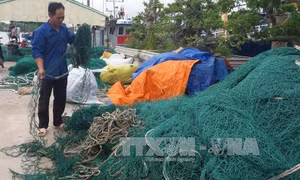 Bình Thuận ngăn chặn, xử lý tàu giã cào bay hoạt động trái phép 