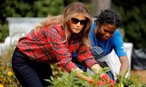 Đệ nhất phu nhân Melania Trump xắn tay làm vườn 'di sản' của bà Obama
