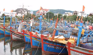 Ngư dân đối mặt rủi ro lớn khi không mua bảo hiểm tàu cá