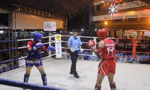 TP Hồ Chí Minh dẫn đầu Giải Muay vô địch toàn quốc năm 2017 