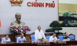 Cuối tháng 6, hoàn thành bồi thường sự cố môi trường biển