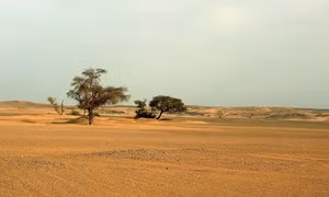 Lý giải mới gây sốc về việc Sahara biến thành sa mạc