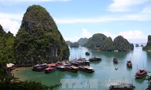  Quảng Ninh: Yêu cầu làm rõ thông tin du khách bị 'bỏ rơi' tại Cảng Cái Rồng