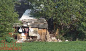 Các hồ tại Hà Nội bị ô nhiễm bởi nước thải