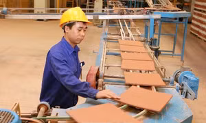 Viglacera tăng vốn điều lệ và giảm tỷ lệ sở hữu nhà nước, mở rộng đầu tư