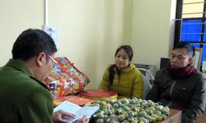 Xử lý nhiều đối tượng sử dụng pháo nổ trái phép 