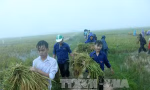 Thanh Hóa thiệt hại nặng nề do bão số 10