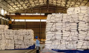 Vì sao lượng đường tồn kho tăng cao kỷ lục? 