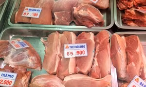TP Hồ Chí Minh