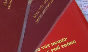 Kỷ luật Hạt phó Hạt Kiểm lâm sử dụng bằng giả để được bổ nhiệm chức vụ