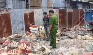 Thành phố Hồ Chí Minh