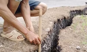 Bộ Giao thông Vận tải chỉ đạo sửa chữa lún nứt tại QL 217
