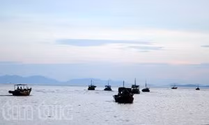 Nghệ An