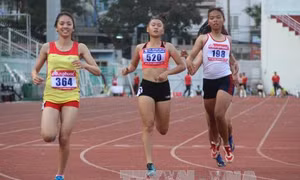 Hơn 240 vận động viên tham dự Giải Điền kinh Hà Nội mở rộng 2017