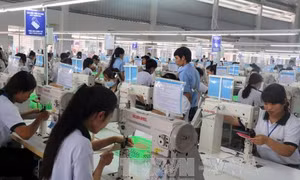 Mức lương trung bình công ty trong nước thấp hơn công ty đa quốc gia 29%