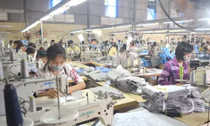 Sẽ thanh tra đột xuất các công ty 'chây ì' tiền bảo hiểm xã hội tại Quảng Ninh