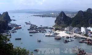 Năm Du lịch quốc gia 2018 là cơ hội lớn quảng bá vẻ đẹp Quảng Ninh