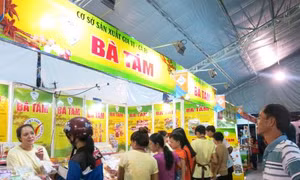 TP Hồ Chí Minh