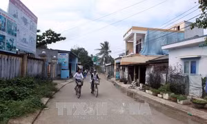 Nâng cao chất lượng, hiệu quả tham gia xây dựng nông thôn mới của Mặt trận Tổ quốc Việt Nam