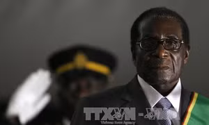 Ai thực sự hưởng lợi sau khi Tổng thống Zimbabwe bị phế truất?