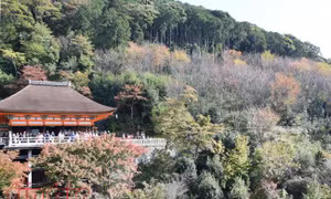 Thăm ngôi chùa nổi tiếng nhất cố đô Kyoto
