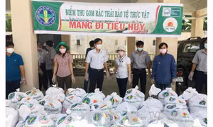 Ninh Thuận tiêu hủy gần 300 kg rác thải thuốc bảo vệ thực vật