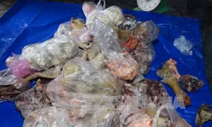 Thu giữ hơn 2 tấn thịt động vật bẩn đang trên đường đi tiêu thụ 