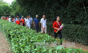 Kỷ niệm Ngày sinh Bác Hồ 19/5: Người dân mọi miền Tổ quốc hướng về Người