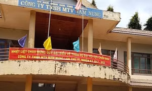Đắk Nông: Khai trừ Đảng, cách chức Giám đốc Công ty TNHH MTV Nam Nung