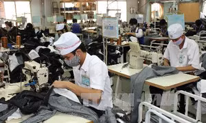 May Việt Tiến phấn đấu kim ngạch xuất khẩu đạt 1 tỷ USD